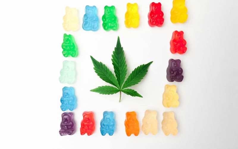 Cannabis SEO in Denver Stay Ahead or Fade