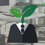7 Essential Cannabis SEO Tips for Success
