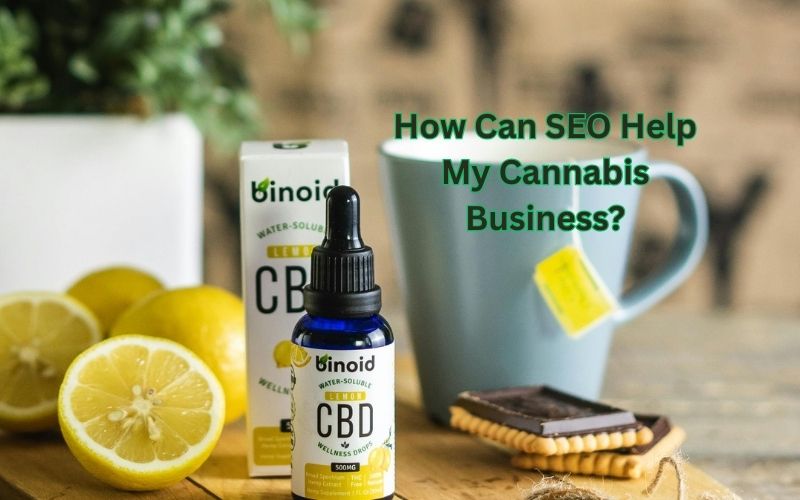 How Can SEO Help My Cannabis Business?