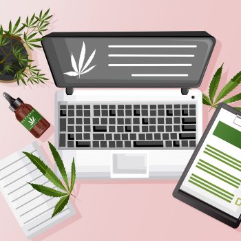 Cannabis Digital Marketing Agency in USA