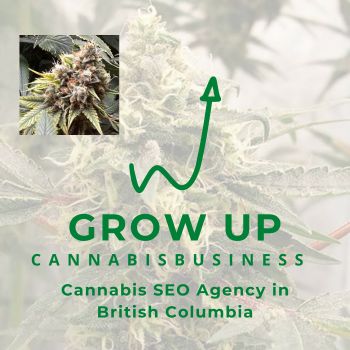 Cannabis SEO Agency in British Columbia