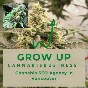 Cannabis-SEO-Agency-in-Vancouver