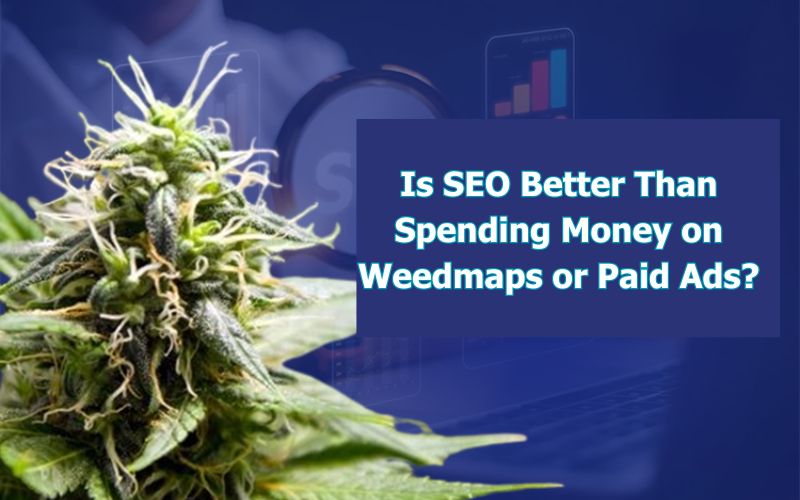 Is SEO Better Than Spending Money on Weedmaps or Paid Ads
