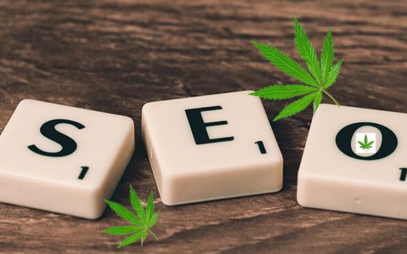 5 Essential SEO Tips for Cannabis Companies