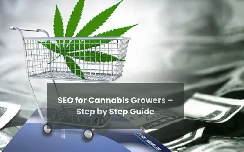 SEO for Cannabis Growers – Step by Step Guide