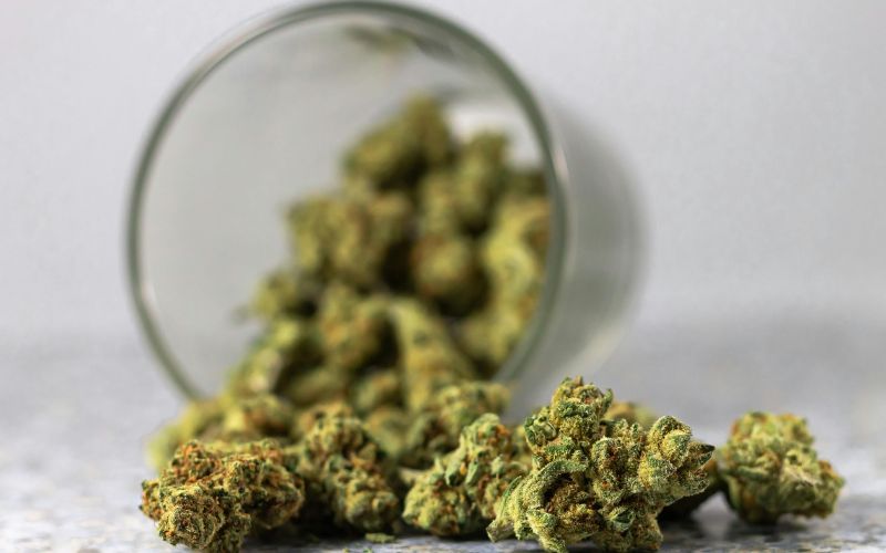 Why Most Cannabis Websites Don’t Rank on Google