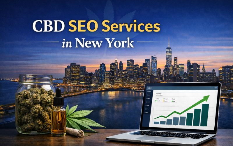 CBD SEO Services in New York