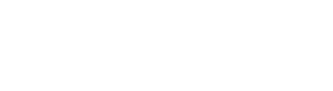 Niche SEO Agency
